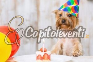 Come Festeggiare Il Compleanno Del Cane